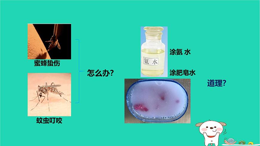 九年級(jí)科學(xué)上冊(cè)第1章物質(zhì)及其變化第5節(jié)酸和堿之間發(fā)生的反應(yīng)第2課時(shí)酸和堿之間發(fā)生的反應(yīng)課件浙教版第3頁(yè)