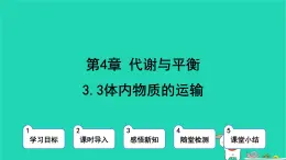 九年級(jí)科學(xué)上冊(cè)第4章代謝與平衡第3節(jié)體內(nèi)物質(zhì)的運(yùn)輸?shù)?課時(shí)體內(nèi)物質(zhì)的運(yùn)輸課件浙教版