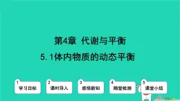 九年級(jí)科學(xué)上冊(cè)第4章代謝與平衡第5節(jié)體內(nèi)物質(zhì)的動(dòng)態(tài)平衡第1課時(shí)體內(nèi)物質(zhì)的動(dòng)態(tài)平衡課件浙教版