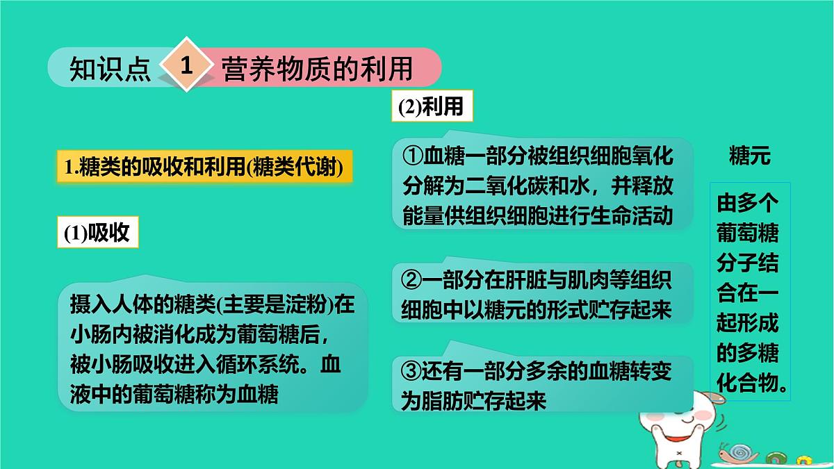 九年级科学上册第4章代谢与平衡第5节体内物质的动态平衡第1课时体内物质的动态平衡课件浙教版第4页