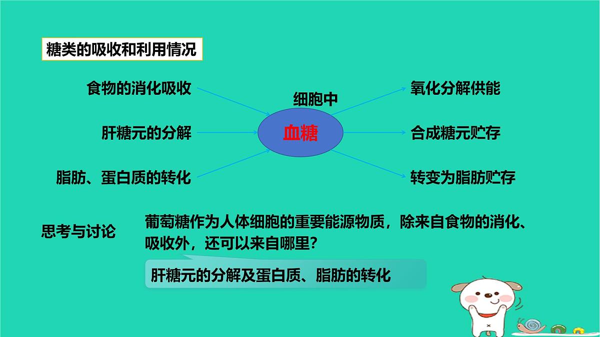 九年级科学上册第4章代谢与平衡第5节体内物质的动态平衡第1课时体内物质的动态平衡课件浙教版第5页