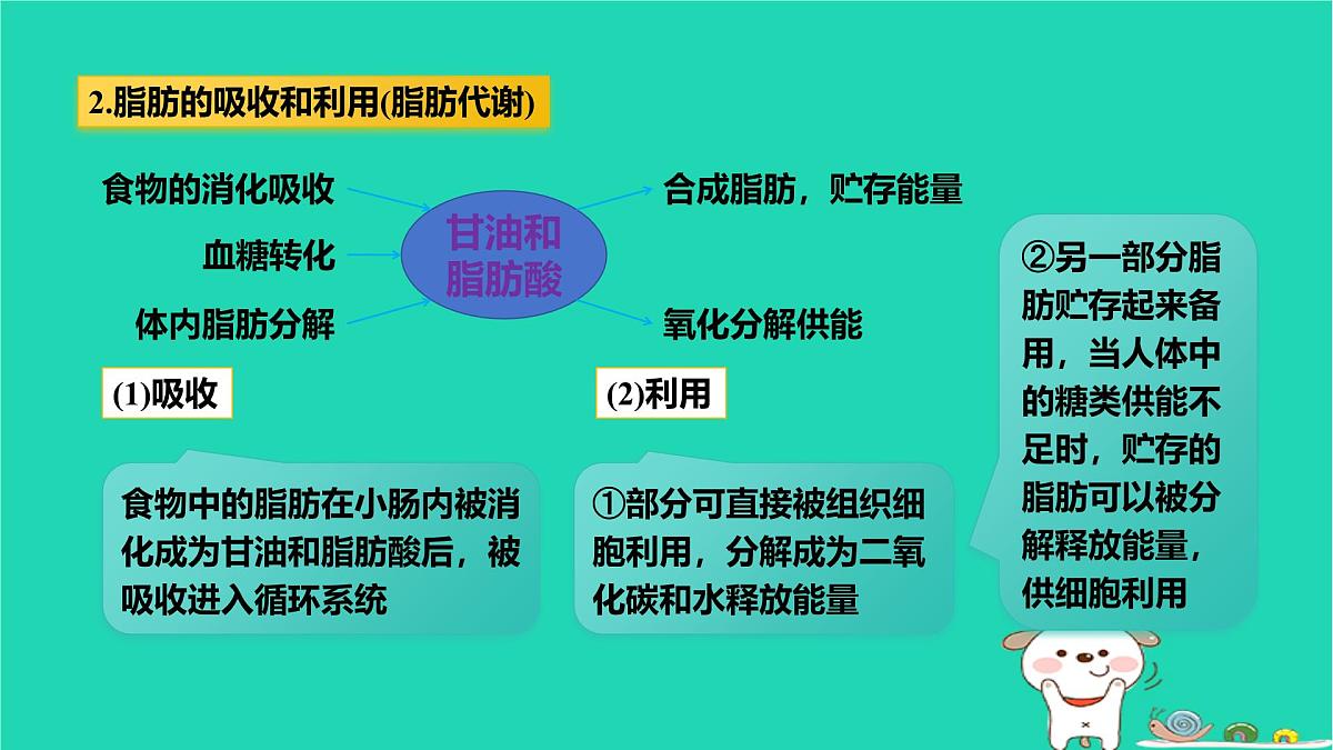 九年级科学上册第4章代谢与平衡第5节体内物质的动态平衡第1课时体内物质的动态平衡课件浙教版第6页