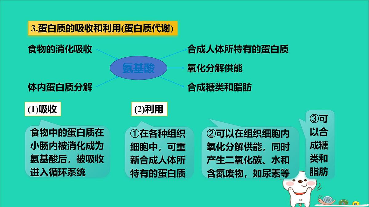九年级科学上册第4章代谢与平衡第5节体内物质的动态平衡第1课时体内物质的动态平衡课件浙教版第7页