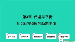 九年級(jí)科學(xué)上冊(cè)第4章代謝與平衡第5節(jié)體內(nèi)物質(zhì)的動(dòng)態(tài)平衡第2課時(shí)體內(nèi)物質(zhì)的動(dòng)態(tài)平衡課件浙教版