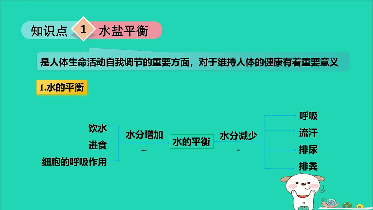 九年级科学上册第4章代谢与平衡第5节体内物质的动态平衡第2课时体内物质的动态平衡课件浙教版第5页