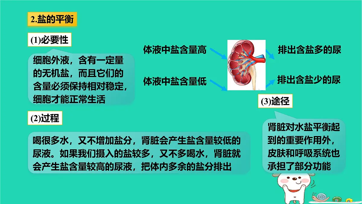 九年级科学上册第4章代谢与平衡第5节体内物质的动态平衡第2课时体内物质的动态平衡课件浙教版第7页