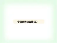 浙教版九年級(jí)科學(xué)上冊(cè)專項(xiàng)素養(yǎng)綜合練(五)課件