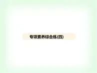 浙教版九年級(jí)科學(xué)上冊(cè)專項(xiàng)素養(yǎng)綜合練(四)課件