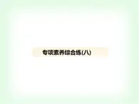 浙教版九年級(jí)科學(xué)下冊(cè)專項(xiàng)素養(yǎng)綜合練(八)課件