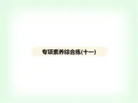 浙教版九年級(jí)科學(xué)下冊(cè)專項(xiàng)素養(yǎng)綜合練(十一)課件