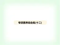 浙教版九年級(jí)科學(xué)下冊(cè)專項(xiàng)素養(yǎng)綜合練(十二)課件