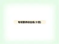 浙教版九年級(jí)科學(xué)下冊(cè)專項(xiàng)素養(yǎng)綜合練(十四)課件