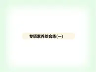 浙教版九年級(jí)科學(xué)上冊(cè)專項(xiàng)素養(yǎng)綜合練(一)課件