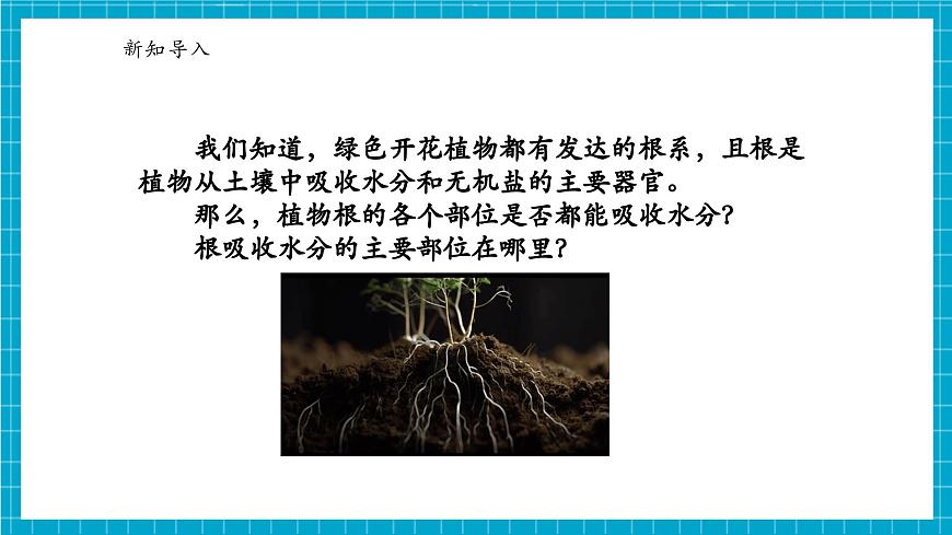 浙教版七下科學(xué) 4.3 土壤與植物生長(zhǎng)（2）第6頁(yè)