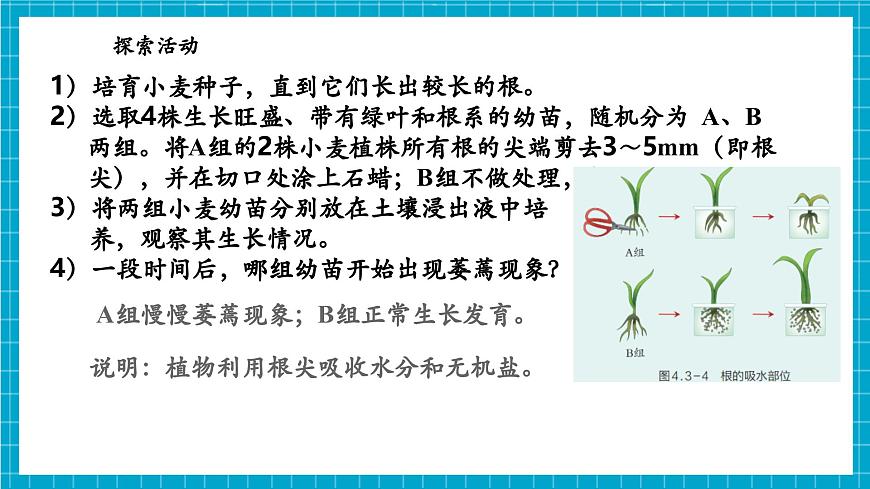 浙教版七下科學(xué) 4.3 土壤與植物生長(zhǎng)（2）第7頁(yè)