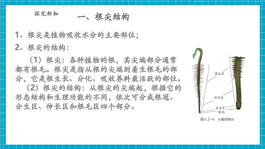 浙教版七下科學(xué) 4.3 土壤與植物生長(zhǎng)（2）第8頁(yè)