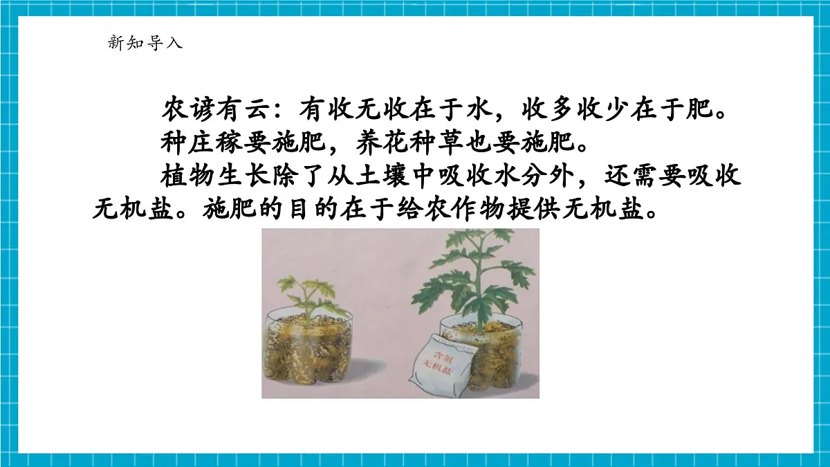 浙教版七下科学 4.3 土壤与植物生长(3)第7页