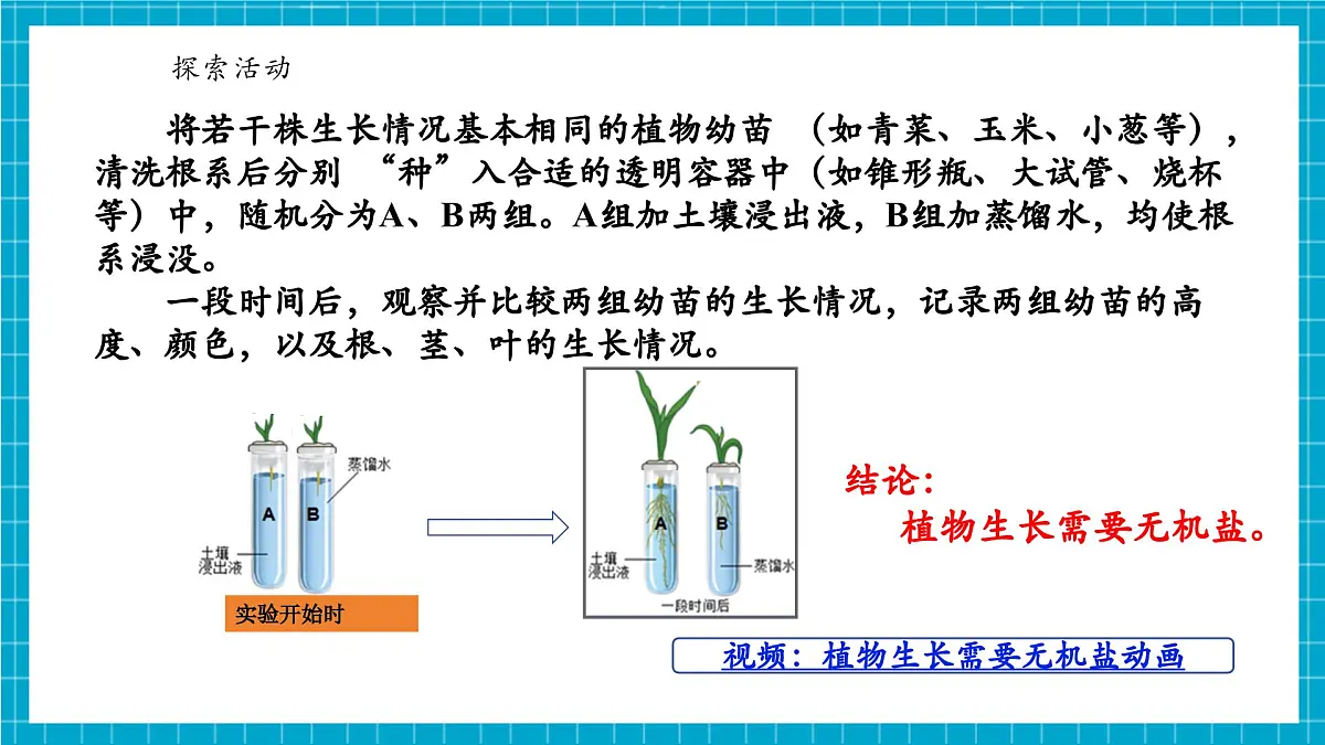 浙教版七下科学 4.3 土壤与植物生长(3)第8页