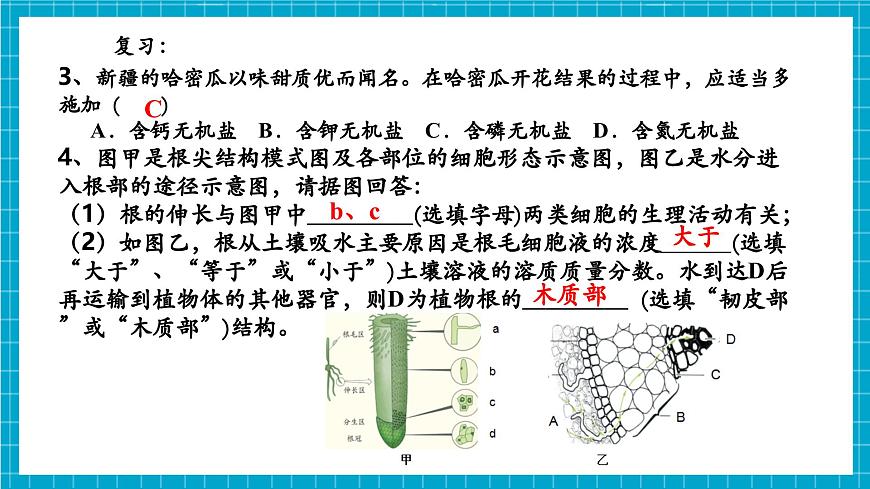 浙教版七下科學(xué) 4.3 土壤與植物生長(zhǎng)（4）第5頁