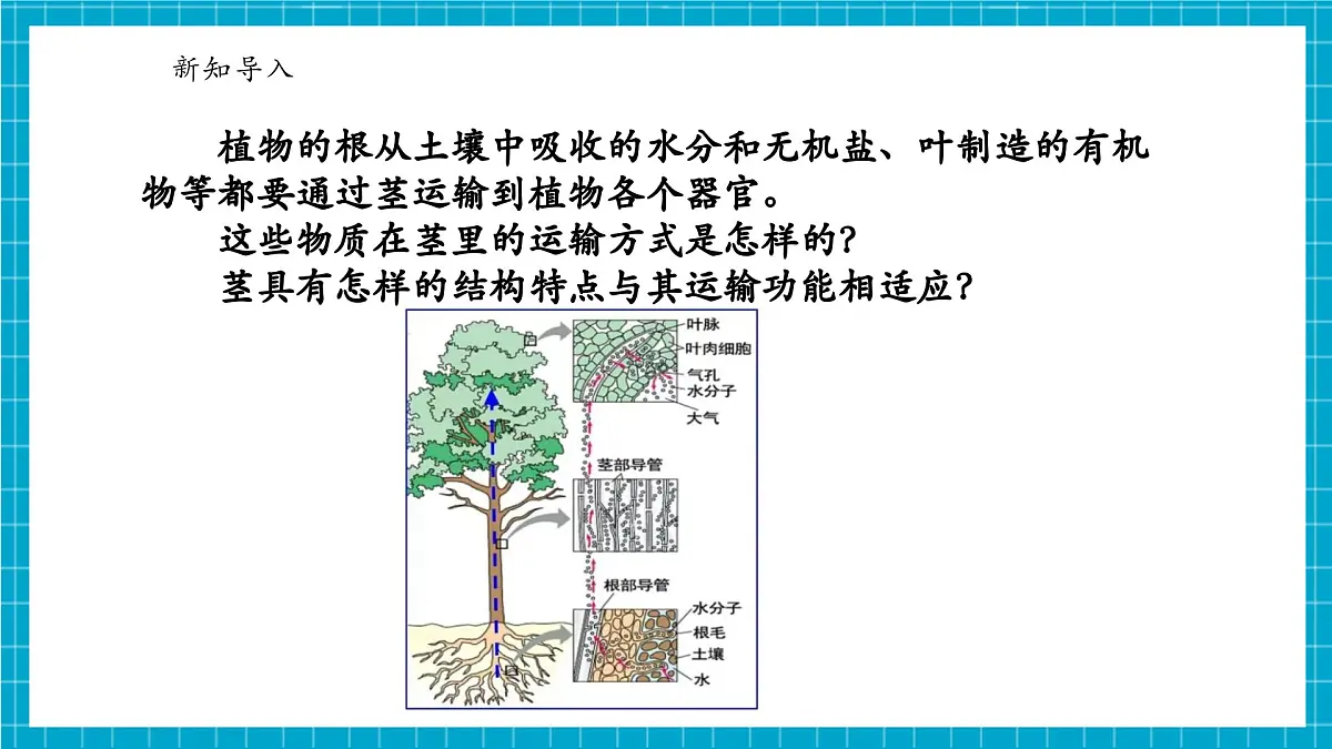 浙教版七下科学 4.3 土壤与植物生长(4)第6页
