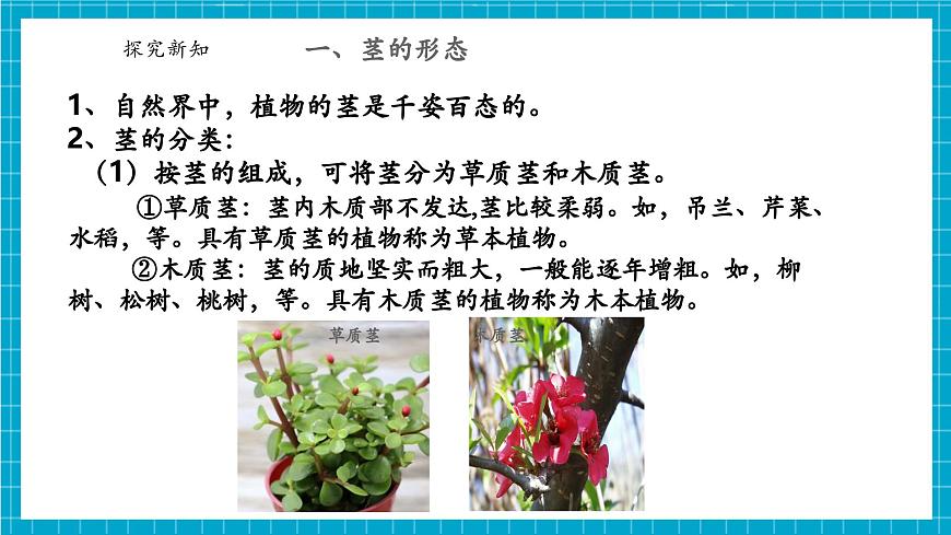 浙教版七下科學(xué) 4.3 土壤與植物生長(zhǎng)（4）第7頁