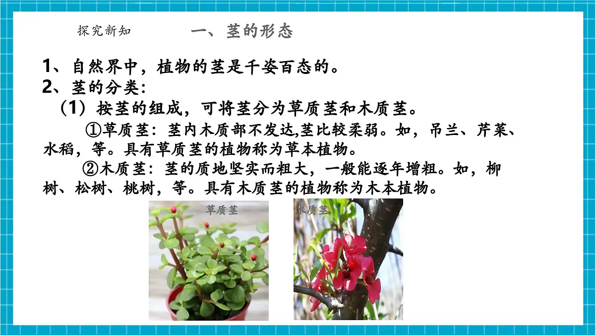 浙教版七下科学 4.3 土壤与植物生长(4)第7页