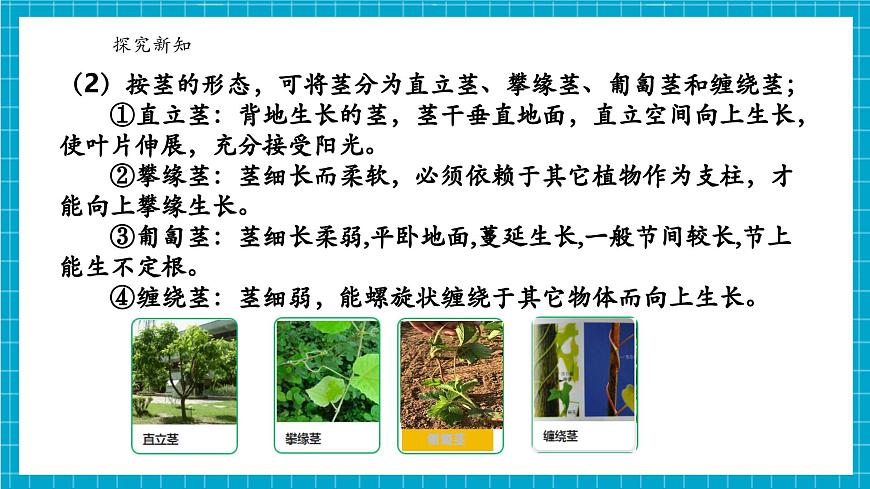 浙教版七下科學(xué) 4.3 土壤與植物生長(zhǎng)（4）第8頁