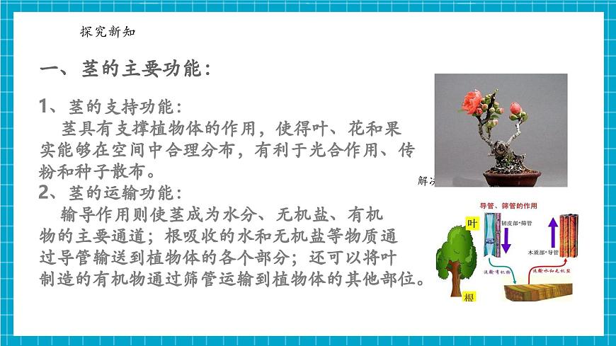 浙教版七下科學(xué) 4.3土壤與植物生長(zhǎng)（5）第6頁(yè)