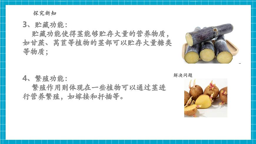 浙教版七下科學(xué) 4.3土壤與植物生長(zhǎng)（5）第7頁(yè)