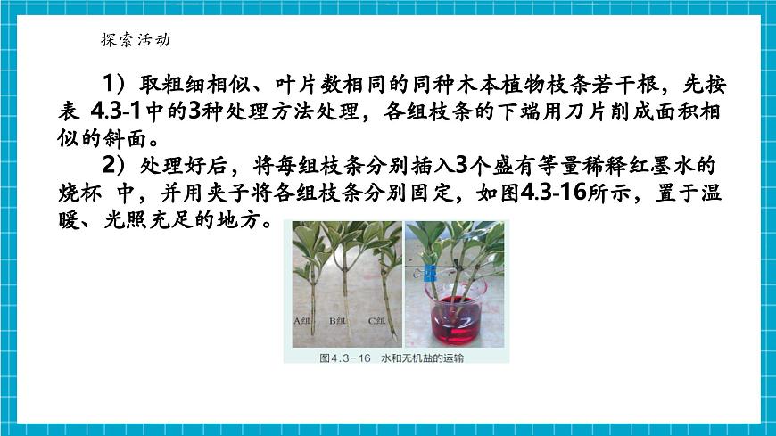 浙教版七下科學(xué) 4.3土壤與植物生長(zhǎng)（5）第8頁(yè)