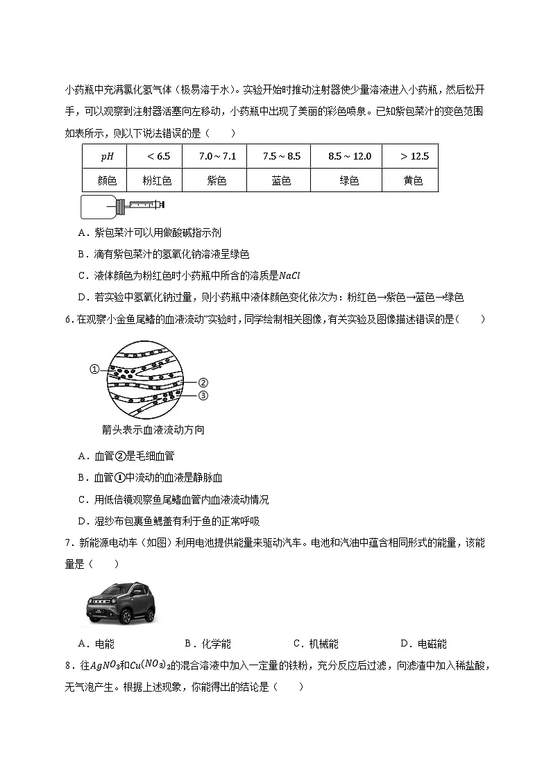 2024-2025学年浙江省义乌市九年级下册开学摸底考试科学检测试卷(附答案)第2页