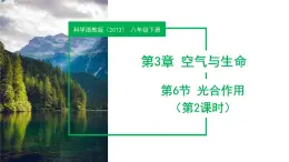 3.6 光合作用（第2課時）（教學課件）八年級科學下冊同步高效課堂（浙教版）