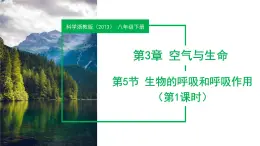 3.5 生物的呼吸和呼吸作用（第1課時）（教學課件）八年級科學下冊（浙教版）