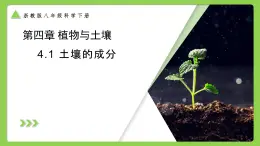 4.1 土壤的成分（同步課件）2025學年八年級科學下冊浙教版