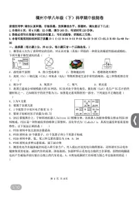 浙江省金华市义乌市稠州中学2024-2025学年八年级下学期科学期中教学质量检测卷