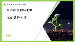 4.6 保護土壤（同步課件）2025學年八年級科學下冊浙教版