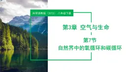 3.7 自然界中的氧循環(huán)和碳循環(huán) （教學課件）-2024-2025學年八年級科學下冊（浙教版）