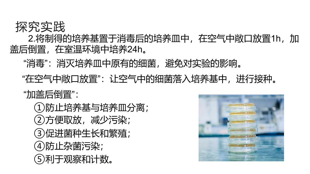 1.4《微生物的结构与生殖》(第1课时) 课件浙教版科学七年级下册第5页