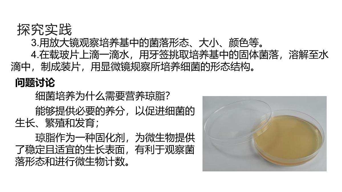 1.4《微生物的结构与生殖》(第1课时) 课件浙教版科学七年级下册第6页