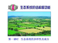 2.4《生態(tài)系統(tǒng)的結(jié)構(gòu)和功能》課件 浙教版科學(xué)九年級(jí)下冊(cè)