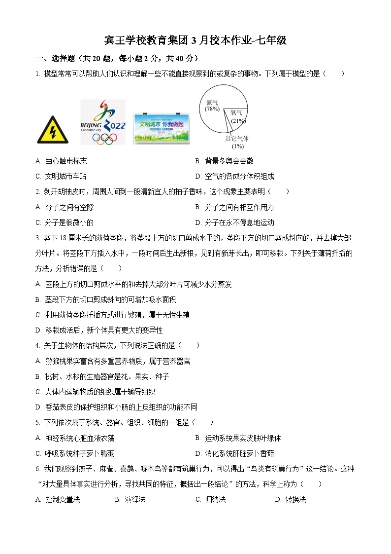 浙江省义乌市宾王中学2024-2025学年七年级下学期3月月考科学试题（原卷版+解析版）
