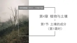 4.1 土壤的成分（第1課時(shí)）（教學(xué)課件）-2024-2025學(xué)年八年級(jí)科學(xué)下冊(cè)（浙教版）