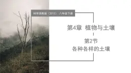 4.2 各種各樣的土壤（教學(xué)課件）-2024-2025學(xué)年八年級(jí)科學(xué)下冊(cè)（浙教版）