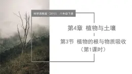 4.3 植物的根與物質(zhì)吸收（第1課時(shí)）（教學(xué)課件）-2024-2025學(xué)年八年級(jí)科學(xué)下冊(cè)（浙教版）