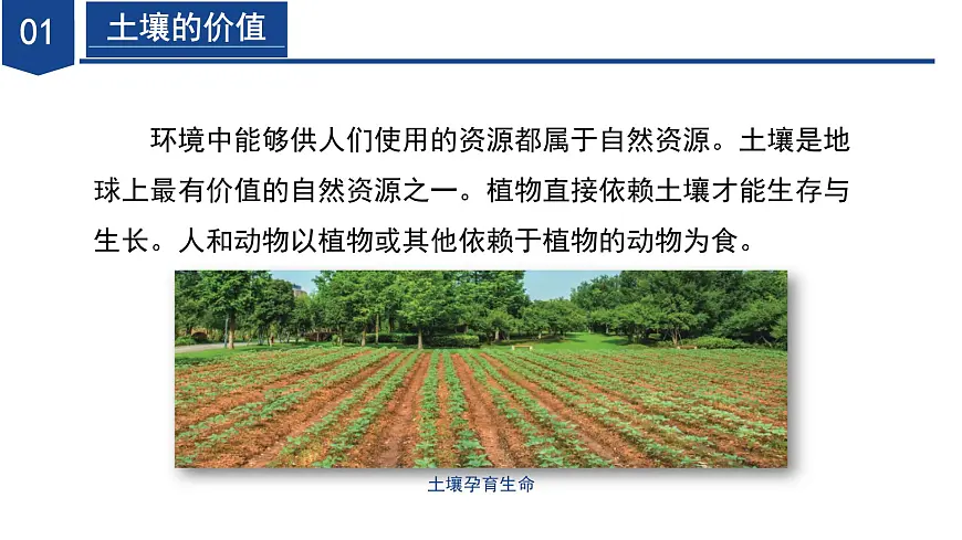 4.4 保护土壤(第1课时)(教学课件)-2024-2025学年七年级科学下册(浙教版)第6页