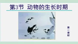 2025年春七年級(jí)下冊(cè)科學(xué)（浙教版）上課課件 第1章 3. 動(dòng)物的生長(zhǎng)時(shí)期 第1課時(shí)