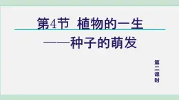 2025年春七年級(jí)下冊(cè)科學(xué)（浙教版）上課課件 第1章 4. 植物的一生 第2課時(shí)
