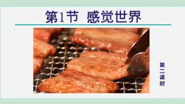 2025年春七年級(jí)下冊(cè)科學(xué)（浙教版）上課課件 第2章 1. 感覺(jué)世界 第2課時(shí)