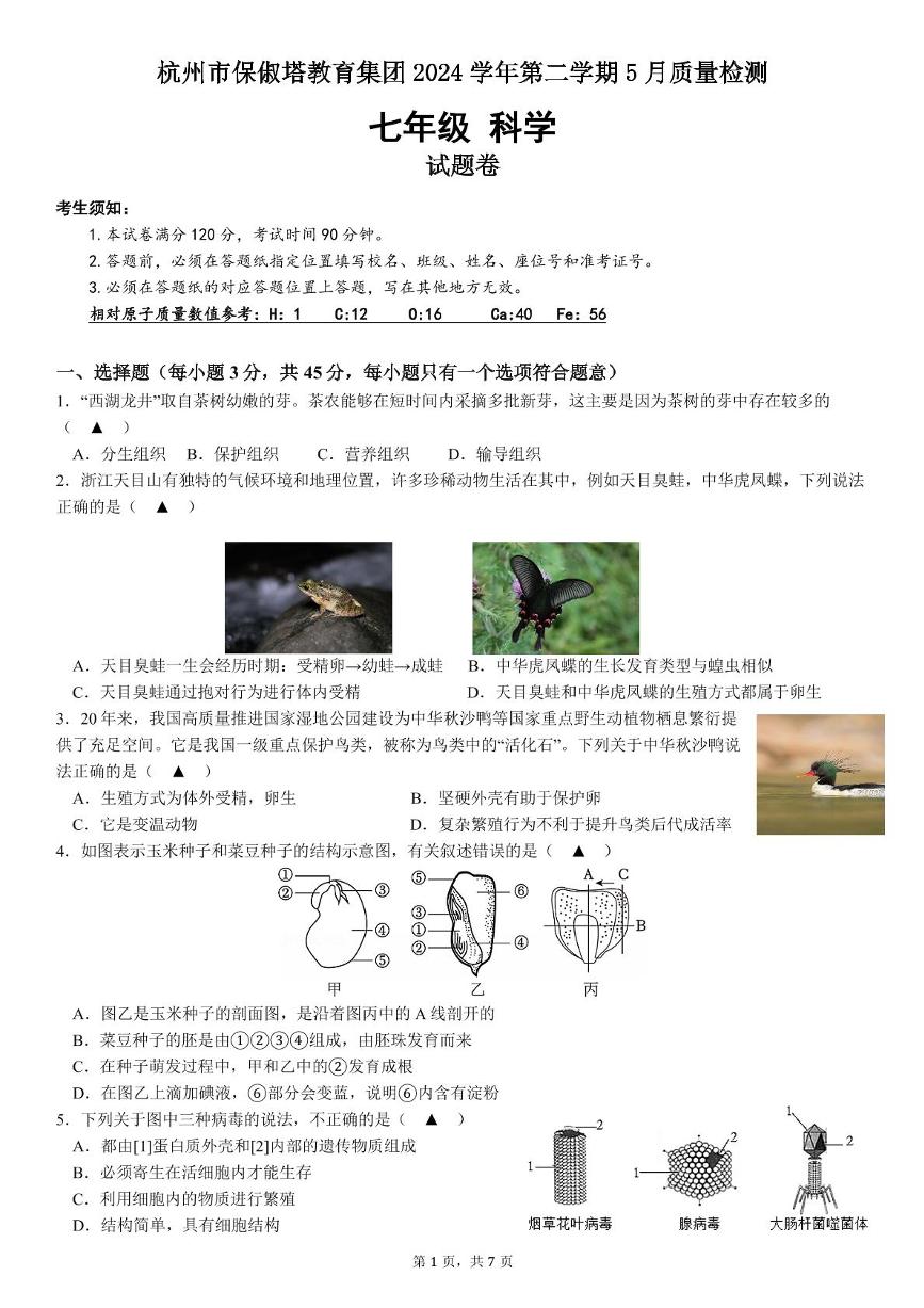 浙江省杭州市保俶塔教育集团2024-2025学年七年级下学期5月月考考试科学试题