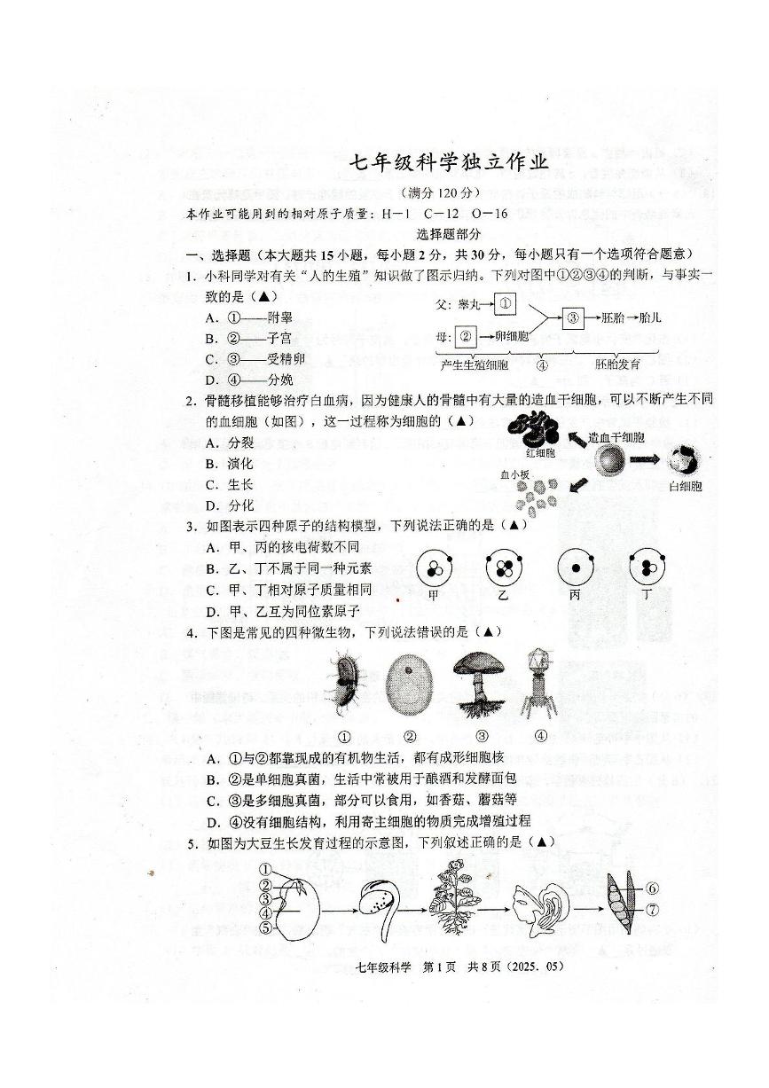 浙江省杭州市临平区联盟学校2024-2025学年七年级下学期5月月考科学卷